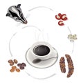 Smoking Hot Coffee with Civet Coffee Beans Royalty Free Stock Photo