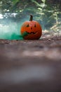 Smoking jack o\' lantern in the forest