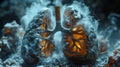 Smoking kills. A person s lungs with smoke coming out of them