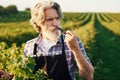 Smoking and looking at berries. Senior stylish man with grey hair and beard on the agricultural field with harvest Royalty Free Stock Photo