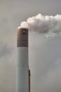 Smoking power plant