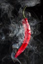 Smoking red hot chili Pepper Royalty Free Stock Photo