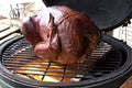 Smoking turkey Royalty Free Stock Photo