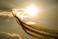 Smoky acrobatic planes on sunset Royalty Free Stock Photo