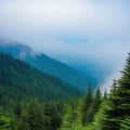 Smoky cloudy mountains trees Generate