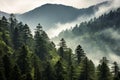 Smoky cloudy mountains trees natural. Generate AI