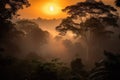 smoky jungle sunrise, with the sun rising over the misty canopy
