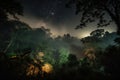 smoky jungle, with view of the stars above, at night