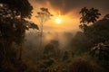 smoky jungle, with view of the sun setting over the horizon, creating a warm and peaceful scene