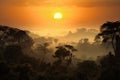 smoky jungle, with view of the sun setting over the horizon, creating a warm and peaceful scene