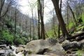 Smoky Mountain BackCountry Royalty Free Stock Photo