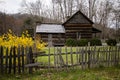Smoky Mountain Cabin In the Springtime Royalty Free Stock Photo