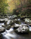 Smoky Mountain Colorful Flowing Stream Royalty Free Stock Photo