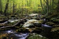 Smoky Mountain Fall