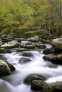 Smoky Mountain Fall Stream Royalty Free Stock Photo