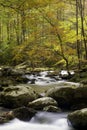 Smoky Mountain Fall Stream Royalty Free Stock Photo