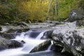 Smoky Mountain Fall Stream Royalty Free Stock Photo