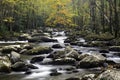 Smoky Mountain Fall Stream Royalty Free Stock Photo