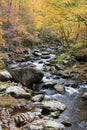 Smoky Mountain Fall Stream