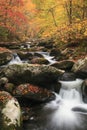 Smoky Mountain Fall Stream Royalty Free Stock Photo