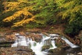 Smoky Mountain Fall Stream Royalty Free Stock Photo