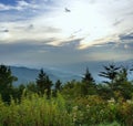 Smoky Mountain Overlook