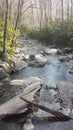 Smoky Mountain River Royalty Free Stock Photo