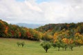 Smoky mountain scenery