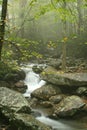 Smoky Mountain Stream Royalty Free Stock Photo