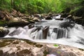 Smoky Mountain Stream Royalty Free Stock Photo