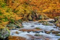 Smoky Mountain Stream With Autumn Leaves Royalty Free Stock Photo