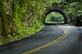 Smoky Mountain Tunnel In Springtime Green Royalty Free Stock Photo