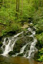 Smoky Mountain Waterfall Royalty Free Stock Photo