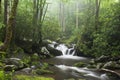 Relaxing scenic in the Great Smoky Mountains USA Royalty Free Stock Photo