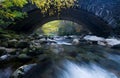 Smoky Mountains bridge