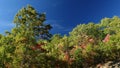 Smoky Mountains Bryson City Carolina BLUE Sky Royalty Free Stock Photo