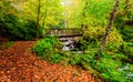 Smoky Mountains National Park