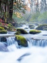 Smoky Mountains National Park