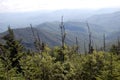 Smoky Mountains panorama from Clingmans Dome Royalty Free Stock Photo
