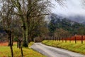 Smoky Mountains -Sparks Lane Royalty Free Stock Photo