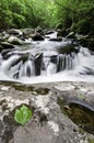 Smoky Mountains Waterfall Royalty Free Stock Photo