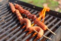 Smoky Sausages Roasting over Grill Fire Royalty Free Stock Photo