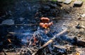 Smoky smell of roasted food. How to roast sausages. Sausages on stick with bonfire and smoke on background. Roasty Royalty Free Stock Photo