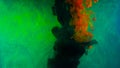 Smoky Splash Of Color In Water. Stock Footage. Colored Ink Or Acrylic Paint In Water Creates Beautiful Smoky Shapes