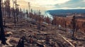 Smoldering Aftermath of Wildfire in Forest Landscape Royalty Free Stock Photo
