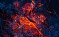 Smoldering ashes in the fire Royalty Free Stock Photo