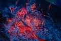 Smoldering ashes in the fire Royalty Free Stock Photo