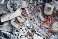 Smoldering ashes from a fire in the forest Royalty Free Stock Photo