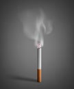 Smoldering cigarette with a smoke Royalty Free Stock Photo