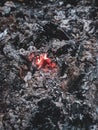 Smoldering coal in a bonfire in the wild forest